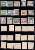 GUIANA - 1954 - Vedute (199/213) - Serie Completa - Gomma Integra (110) - Other & Unclassified