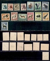 SUD AFRICA - 1954 - Natura (239/252) - Serie Completa - Gomma Integra (50) - Sonstige & Ohne Zuordnung