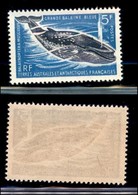 TERRE AUSTRALI E ANTARTICHE FRANCESI - 1966 - 5 Franchi Balena (36) - Gomma Integra (32) - Andere & Zonder Classificatie