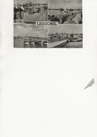 CARTE PHOTO "LESCONIL" FINISTERE  -LE PORT . - Lesconil