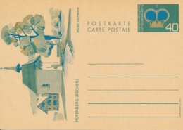 Michel P78 Bildpostkarte Rofenberg Eschen - Postfrisch/** - Postwaardestukken