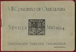 SPAIN - VII CONGRESSO DE OLEICUTURA - EXPLOTACION AGRICOLA SANCHEZ DALP - 1924 BOOK - Autres & Non Classés