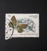 N° 3262       Papillon - Usati