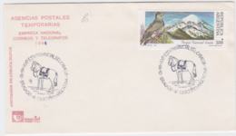 Argentina Cover 1991 Bird - National Park Lanin   (G55-52) - Other
