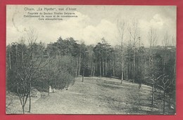 Ohain / Lasne - La Hyette , Vue D'Hiver - Propriété Du Docteur Nicolas Delpierre ( Voir Verso ) - Lasne