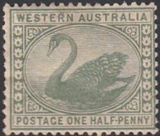 Western Australia 1885 MH Sc 58 1/2p Swan - Nuevos