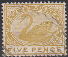 Western Australia 1890-93 Used Sc 66 5p Swan - Usados