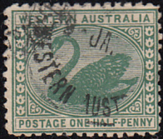 Western Australia 1905-1912 Used Sc 89 1/2p Swan - Used Stamps