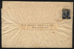 ARGENTINA: GJ.131, ¼ On 12c. Alberdi, Black Overprint, Perf 11½, On A Wrapper Used In Buenos Aires In JA/1891, Very Rare - Autres & Non Classés