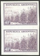 ARGENTINA: GJ.768P, 40c. Sugar Cane, Chalky Paper, Imperforate Pair With Sheet Margin, MNH - Autres & Non Classés