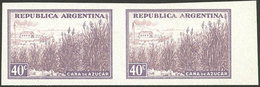 ARGENTINA: GJ.768P, 40c. Sugar Cane, Imperforate Pair On Chalky Paper, VF - Autres & Non Classés