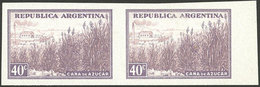 ARGENTINA: GJ.768P, 40c. Sugar Cane, Imperforate Pair On Chalky Paper, VF - Otros & Sin Clasificación