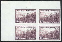 ARGENTINA: GJ.768P, 40c. Sugar Cane, Chalky Paper, Imperforate Block Of 4 With Sheet Corner, MNH - Altri & Non Classificati