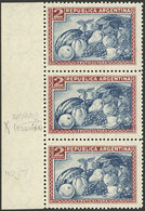 ARGENTINA: GJ.779, 2P. Fruit, National Unsurfaced Paper, Strip Of 3 Stamps, One With Variety: Retouch On The Lined Backg - Other & Unclassified