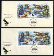 ARGENTINA: GJ.HB 90, Airmail, Aerophilately, Souvenir Sheet Used On First Day Cover And Card, VF Quality - Blocchi & Foglietti