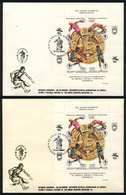 ARGENTINA: GJ.HB 96, Barcelona '92 Olympic Games, Souvenir Sheet Used On First Day Cover And Card, VF Quality - Hojas Bloque