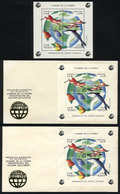 ARGENTINA: GJ.HB 101, Earth Summit, Souvenir Sheet + S.sheet On FDC + S.sheet On A First Day Card, VF Quality - Hojas Bloque