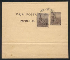 ARGENTINA: 2c. Wrapper + 2c. Plowman Sent From Buenos Aires In 1912, VF Quality - Storia Postale