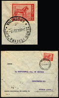 ARGENTINA: Cover Sent From "ZENON PEREYRA" (Santa Fe) To Buenos Aires On 24/NO/1959." - Covers & Documents