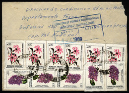 ARGENTINA: Cover Sent From "COLONIA SAN JUAN" (Santiago Del Estero) To Buenos Aires In NO/1989, With INFLA Postage Of A1 - Cartas & Documentos