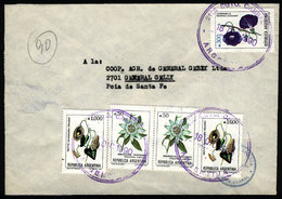 ARGENTINA: Cover Sent From "SGTO. CABRAL" (Santa Fe) To General Gelly (Santa Fe) On 18/DE/1990, With INFLA Postage Of A2 - Covers & Documents