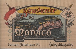 MONACO - Souvenir De Monaco (carnet De Cartes Détachables) - Colecciones & Lotes