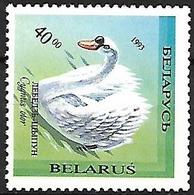 BELARUS - 1994 - MNH - Mute Swan    Cygnus Olor - Cigni