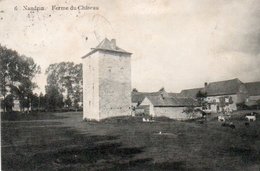 Nandrin  Ferme Du Chateau Circulé En 1910 - Nandrin