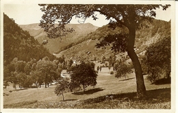 CP De MITTLACH "vallée Du Kolben Et Rotenbachkopf " - Wintzenheim