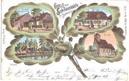 SCHÖNEWALDE Bei Brehnitz Kr Luckau Lausitz Eichenblatt Litho Gasthof Pfarrhaus 16.2.1910 Gelaufen - Schönewalde