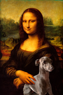 TRES BELLE PHOTO HUMORISTIQUE DE LA JOCONDE  ( Mona Lisa ) Avec LEVRIER  ITALIEN - Altri & Non Classificati