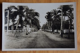 Cotonou - Avenue De Cocotiers - Bénin / Dahomey - (n°15337) - Benin