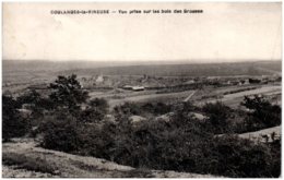 89 COULANGES-la-VINEUSE - Vue Prise Sur Les Bois Des Brousse - Coulanges La Vineuse