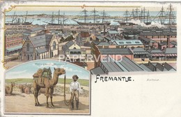 WA FREEMANTLE   Early Chromo With Vignettes Harbour & Wells Camel With Indian   Au802 - Fremantle