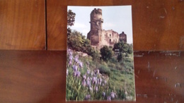 Delcampe - 63 - Volvic - Environs De Châtel-Guyon - Château De Tournoël XIIe Et XIVe Siècle - Volvic