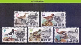 Mmf145 * SPECIAL 10% * FAUNA VOGELS SEABIRDS OYSTERCATCHER PLOVER CURLEW BIRDS VÖGEL AVES OISEAUX ALDERNEY 1984 PF/MNH - Collections, Lots & Series