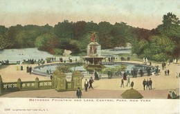 4655" BETHESDA FOUNTAIN AND LAKE-CENTRAL PARK-NEW YORK " ANIMATA-CART. POST. ORIG. NON SPED. - Central Park