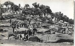 ALGERIE - TIARET - Le Marabout Un Jour De Fête - Tiaret