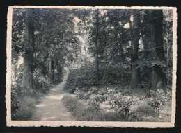 SLEIDINGE   GENEESKUNDIG GESTICHT ST JOZEF   PARKZICHT - Evergem