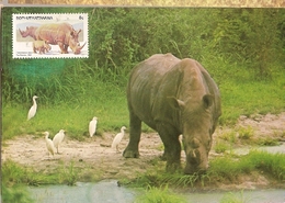 Botswana & Postal, Fauna, Rinoceronte,  Rhinocerontidae, Ceratotherium Simum,  Harare 1983 (3755) - Rhinocéros