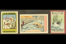 POLAR CINDERELLAS Early 20th Century Three Different Colourful Labels On A Stock Card, Unused No Gum, Small Faults, Scar - Autres & Non Classés