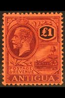 1921-29 £1 Purple And Black / Red, SG 61, Never Hinged Mint. Superb. For More Images, Please Visit Http://www.sandafayre - Other & Unclassified