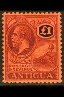 1921-29 £1 Purple And Black / Red, SG 61, Mint Very Lightly Hinged (so Lightly Hinged It Was Previously Purchased As Nev - Other & Unclassified
