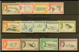 1956 Complete Definitive Set, SG 57/69, Very Fine Mint (13 Stamps) For More Images, Please Visit Http://www.sandafayre.c - Ascension (Ile De L')
