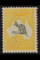 1915 5s Grey And Deep Yellow, Wmk Narrow Crown, Kangaroo, SG 42b, Very Fine Mint. For More Images, Please Visit Http://w - Altri & Non Classificati