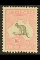 1929 10s Grey And Pink, Wmk Mult Crown And A, Kangaroo, SG 112, Superb Mint. For More Images, Please Visit Http://www.sa - Andere & Zonder Classificatie