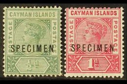 1900 1½d And 1d Overprinted "Specimen" (1d Creased), SG 1s/2s, Mint. Scarce. (2 Stamps) For More Images, Please Visit Ht - Iles Caïmans