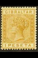 1889-1896 1 Peseta Bistre, SG 30, Fine Mint For More Images, Please Visit Http://www.sandafayre.com/itemdetails.aspx?s=6 - Gibraltar