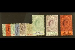 1904-08 King Edward VII Watermark Multi Crown CA Complete Definitive Set, SG 56/64, Very Fine Mint. (9 Stamps) For More  - Gibilterra
