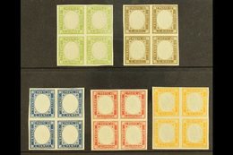 NEAPOLITAN PROVINCES 1861 Local Issue, Complete Set, Sass S1, In Superb BLOCKS OF 4 (2nh, 2og). Cat €1500.(£1125)  (5 Bl - Non Classificati